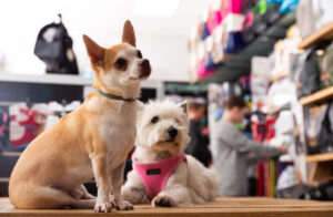 pet store near me