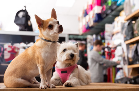pet store near me