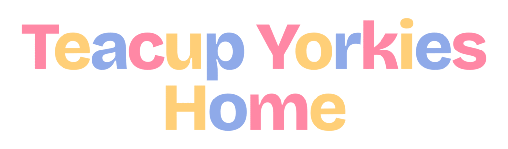 Teacup Yorkies Home
