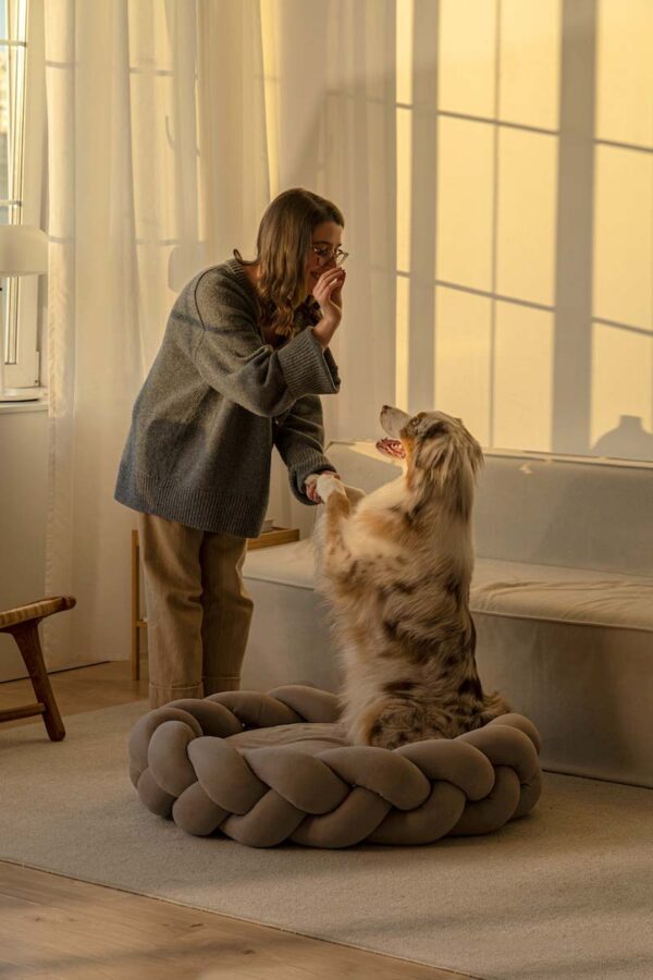 Le Château Canin - Luxury Pet Bed - Image 3
