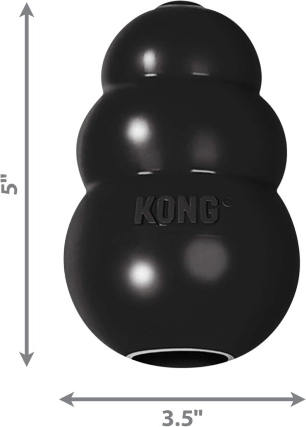 KONG Extreme Dog Toy - Fetch & Chew Toy - Treat-Filling Capabilities & Erratic Bounce for Extended Play Time Most Durable Natural Rubber Material - for Power Chewers - for Large Dogs - Image 8