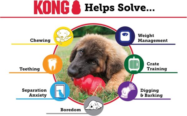 KONG Extreme Dog Toy - Fetch & Chew Toy - Treat-Filling Capabilities & Erratic Bounce for Extended Play Time Most Durable Natural Rubber Material - for Power Chewers - for Large Dogs - Image 6
