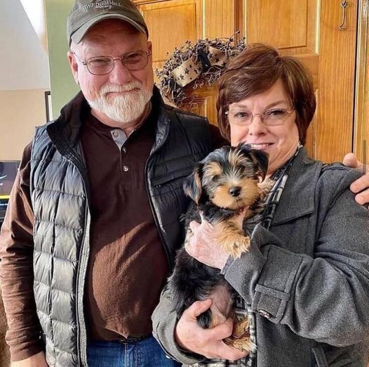 Happy Yorkie Client 5