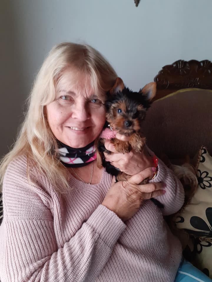 Happy Yorkie Client 4