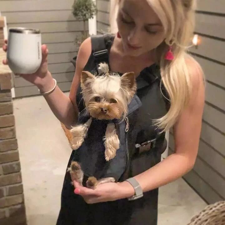 Happy Yorkie Client 3